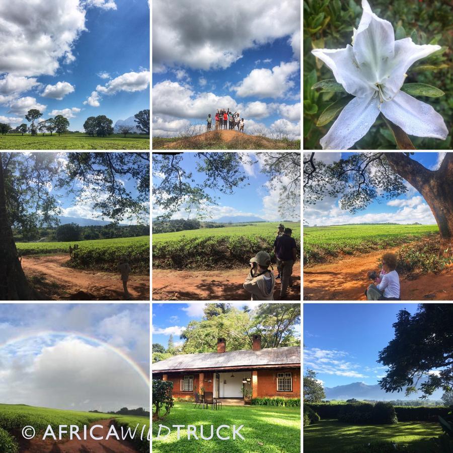 Africawildtruck Eco Camp & Lodge Mulanje Eksteriør bilde